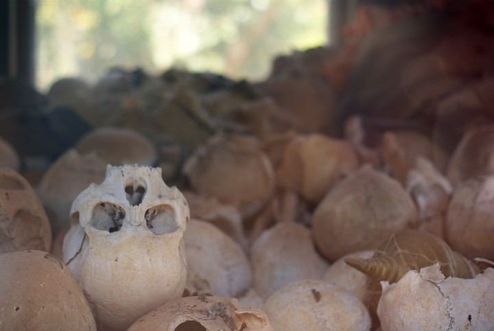 Human Skeleton