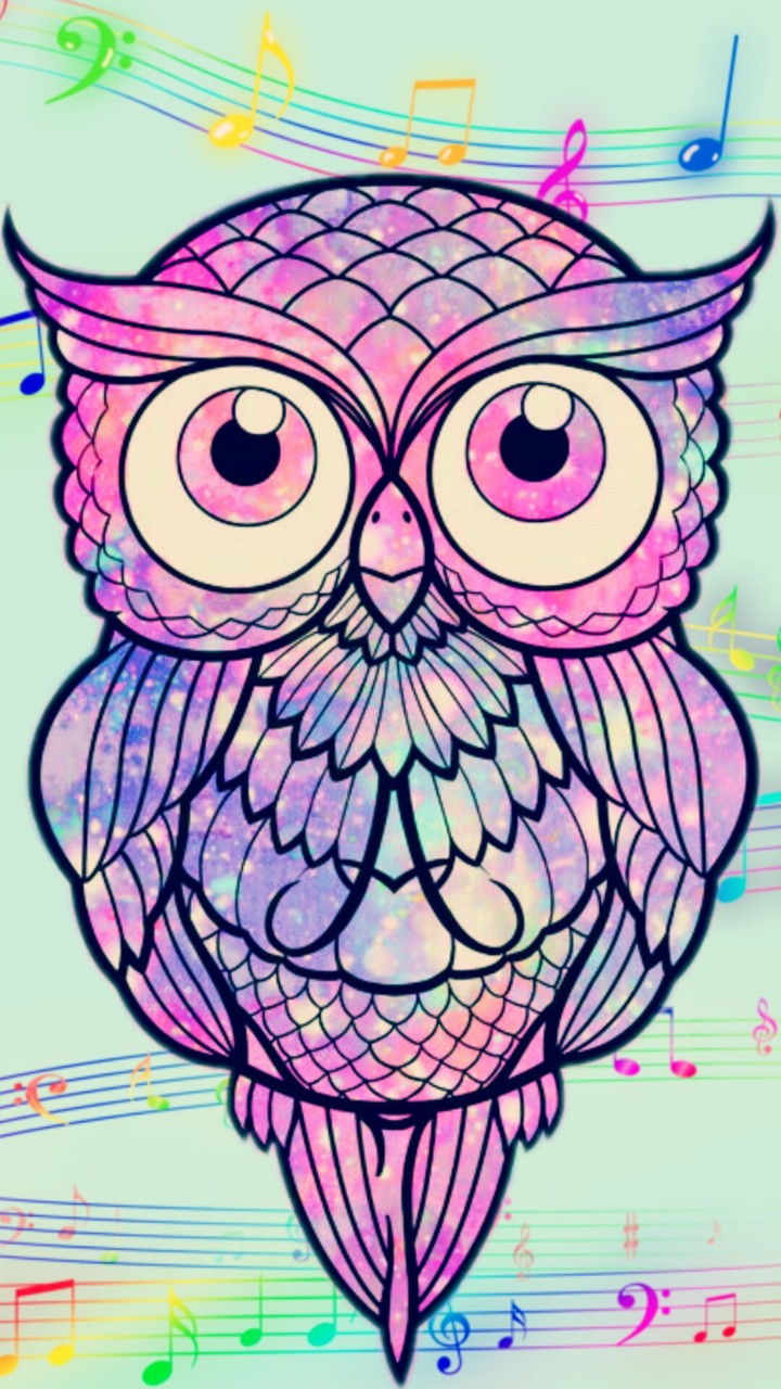 Musical Owl