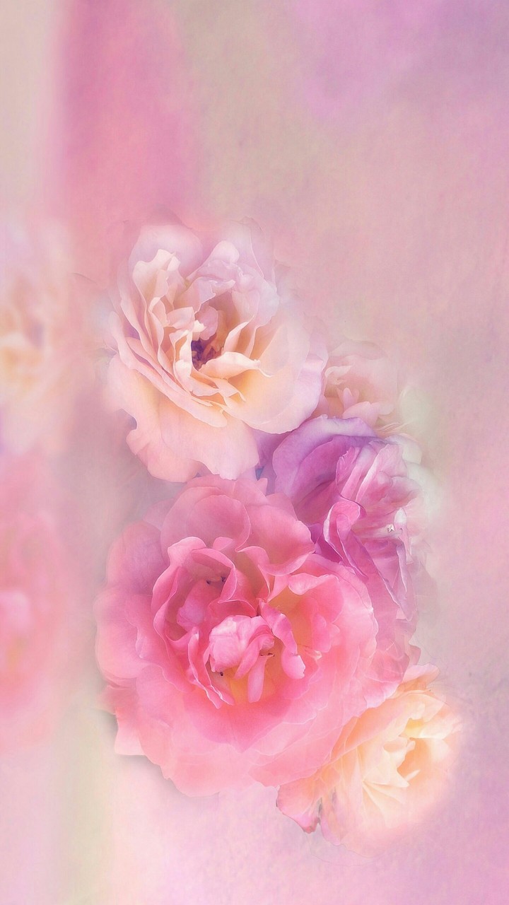 Life in Pastel ❤️