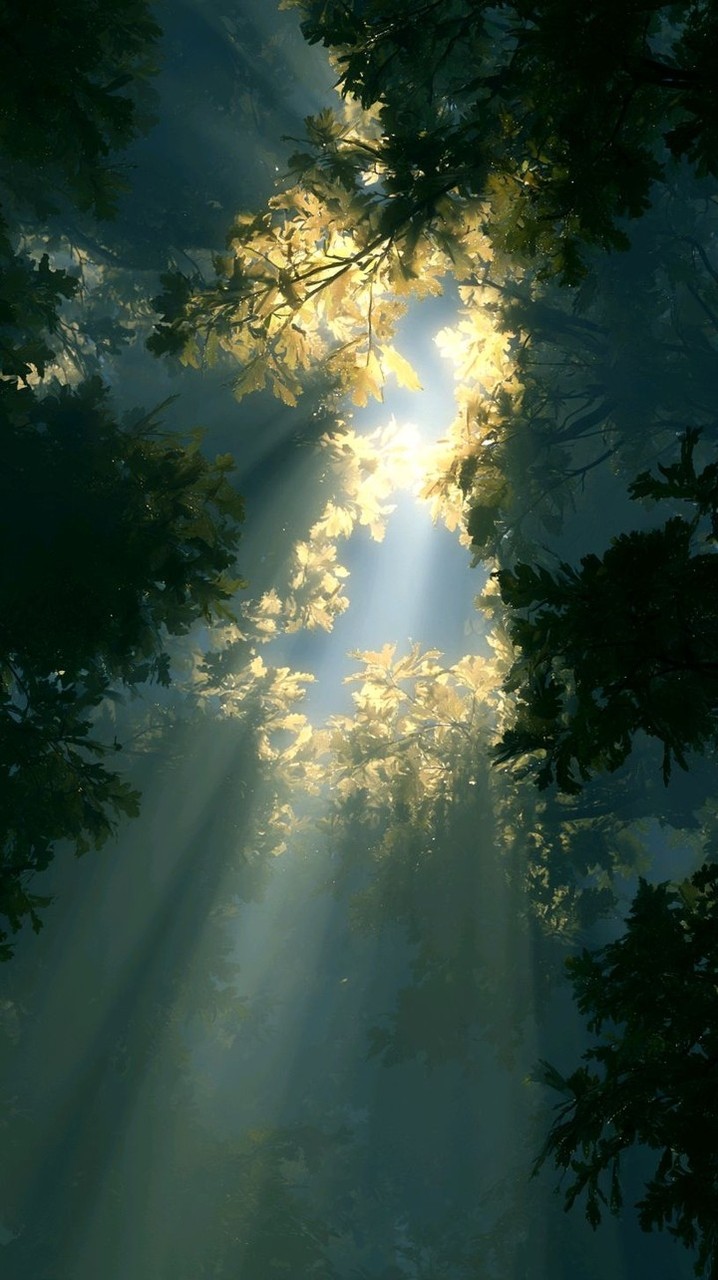 Nature's Beauty