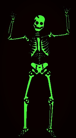 skull