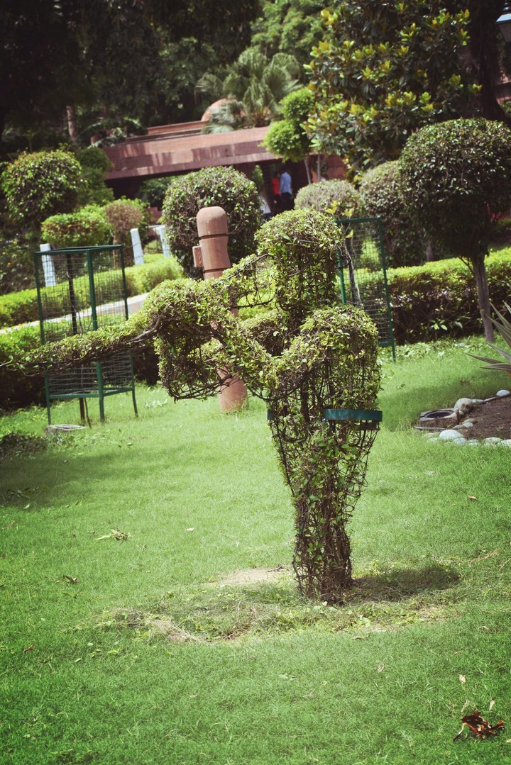 nature club