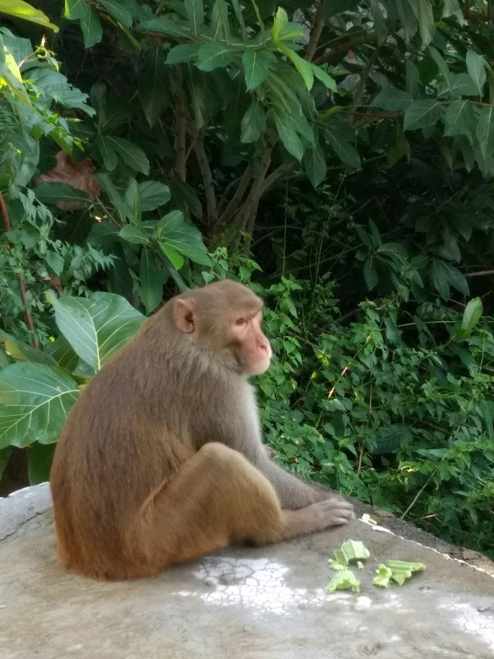 serious contemplation