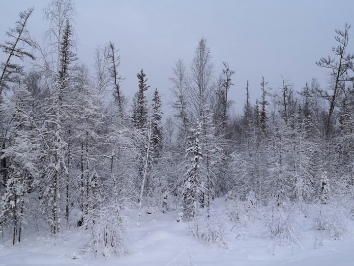 Зима❄️❄️