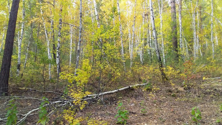 осень