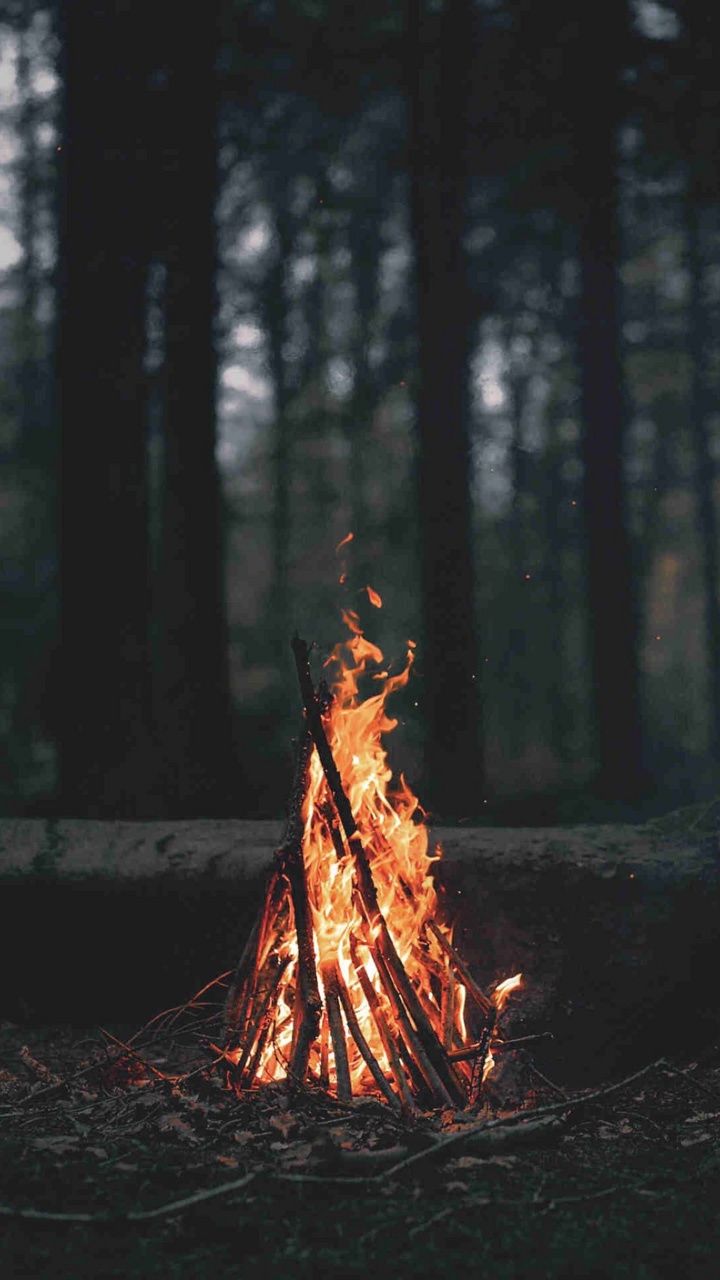 Fire