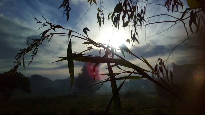Good morning!!