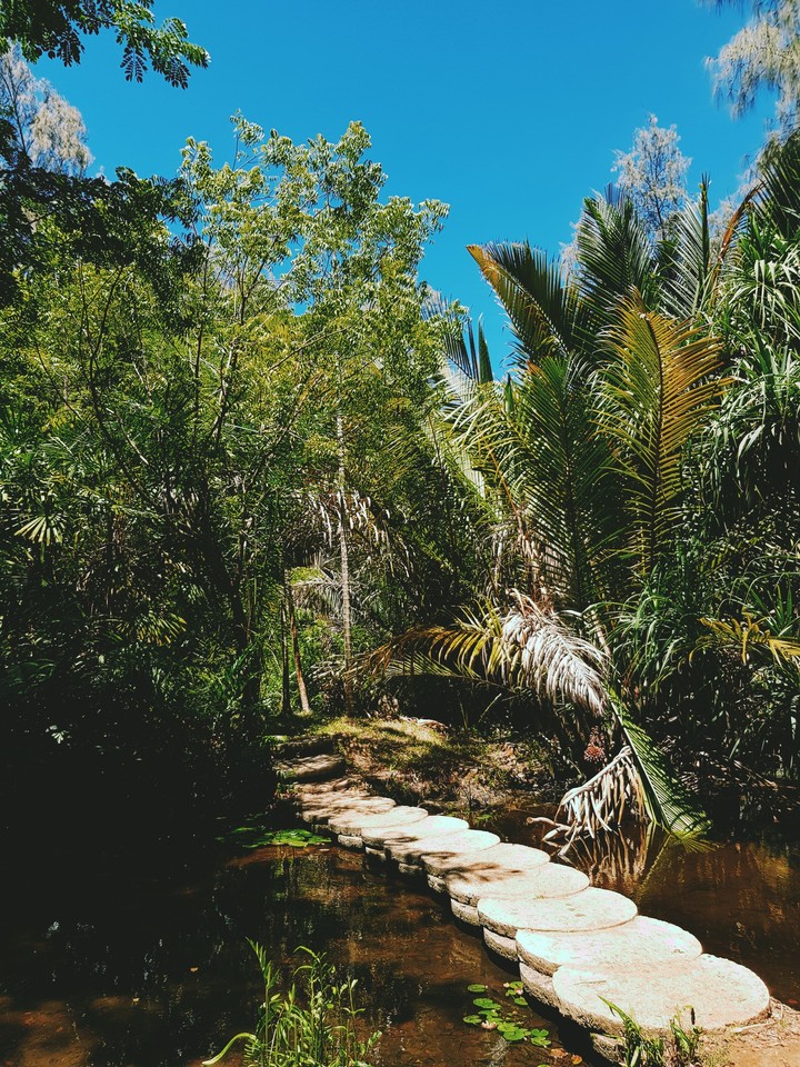 Haller Park Land Reclamation, Kenya