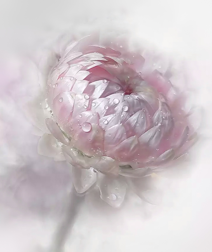 Pastel colors