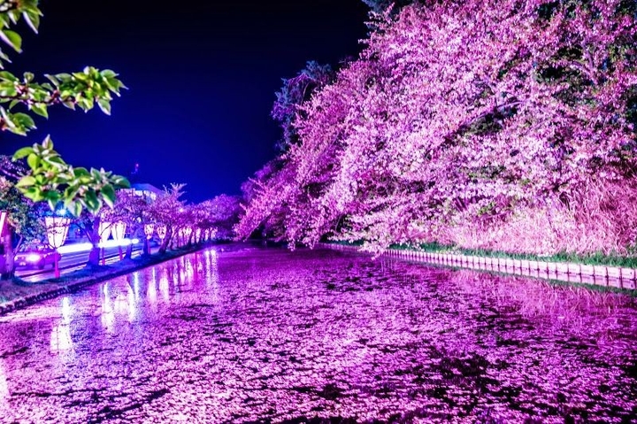 Pink river