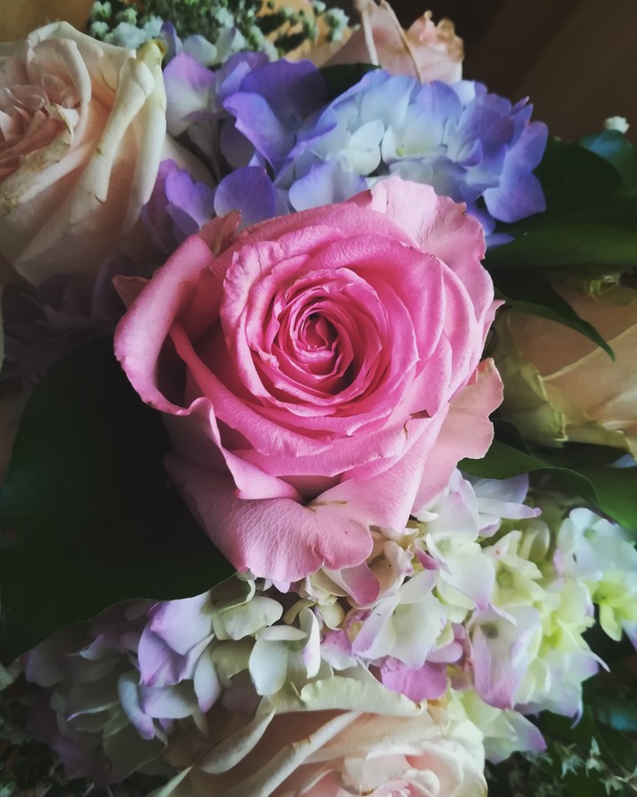 rose