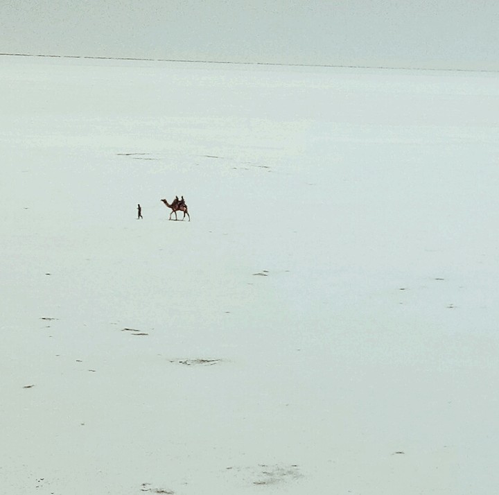 run of kutch