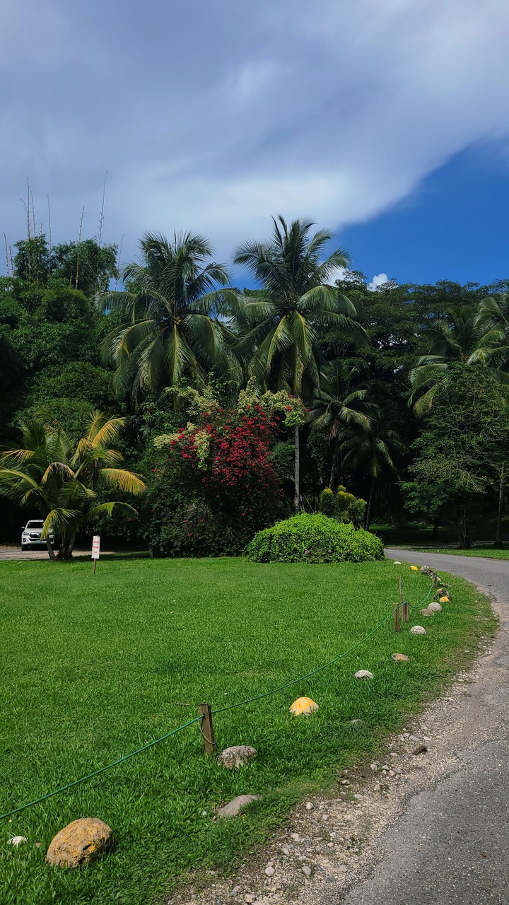 Ochos Rios, Jamaica and the Atlantic Ocean