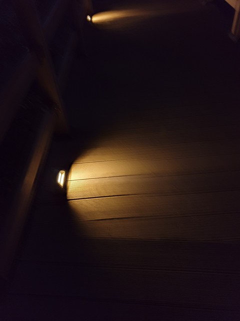 Night