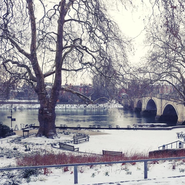 Richmond Bridge