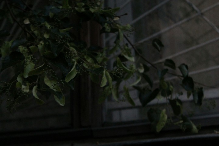 window