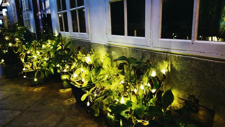 Christmas lights