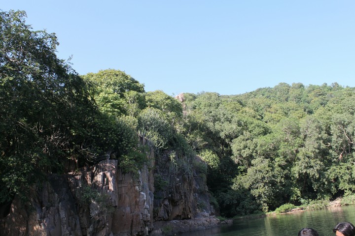 nayure