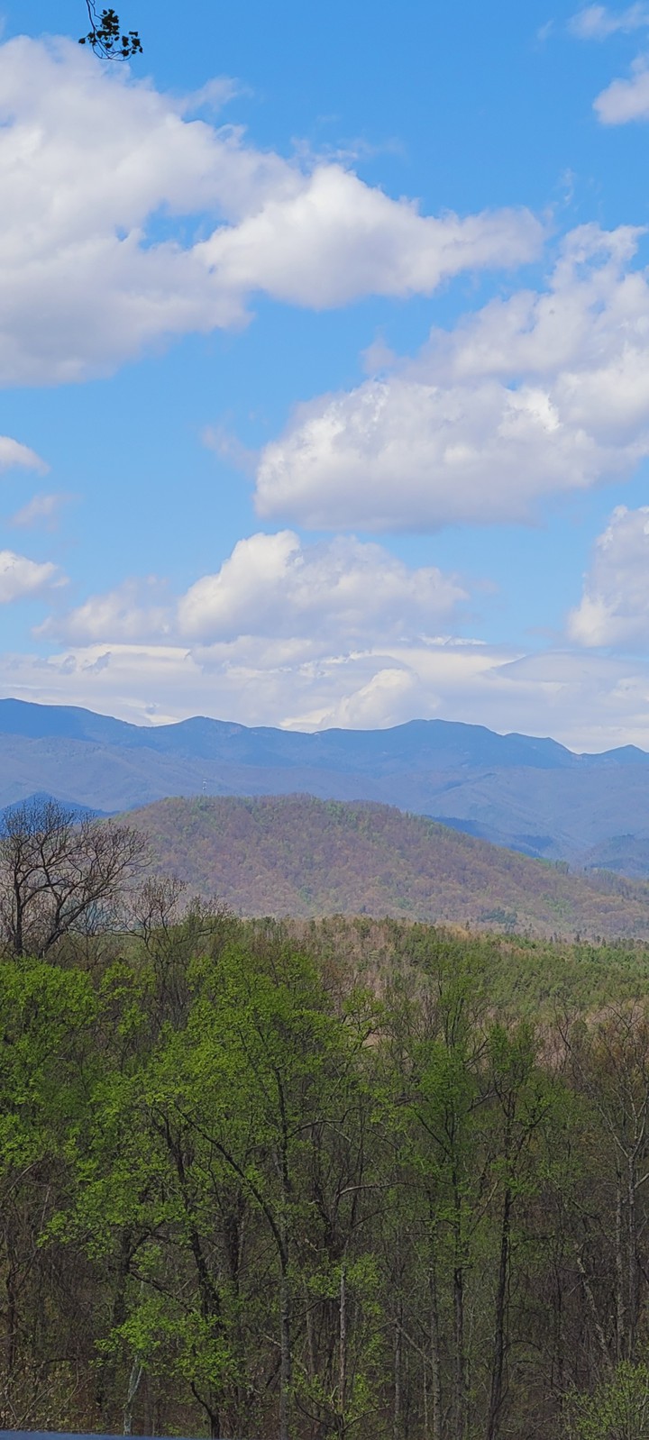 My Hill Davistown NC