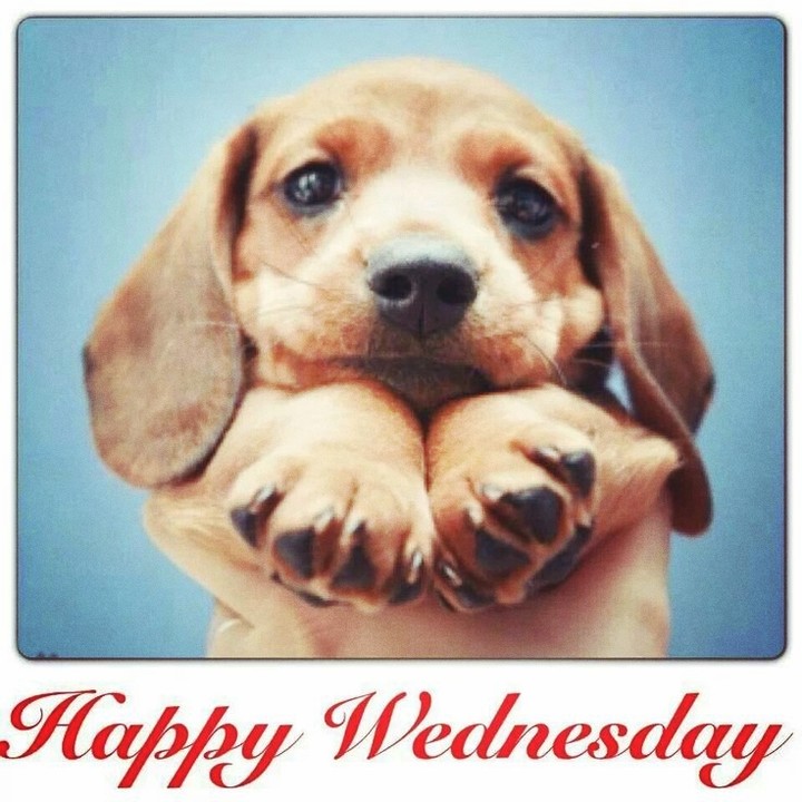 Have a Great Day Wednesday