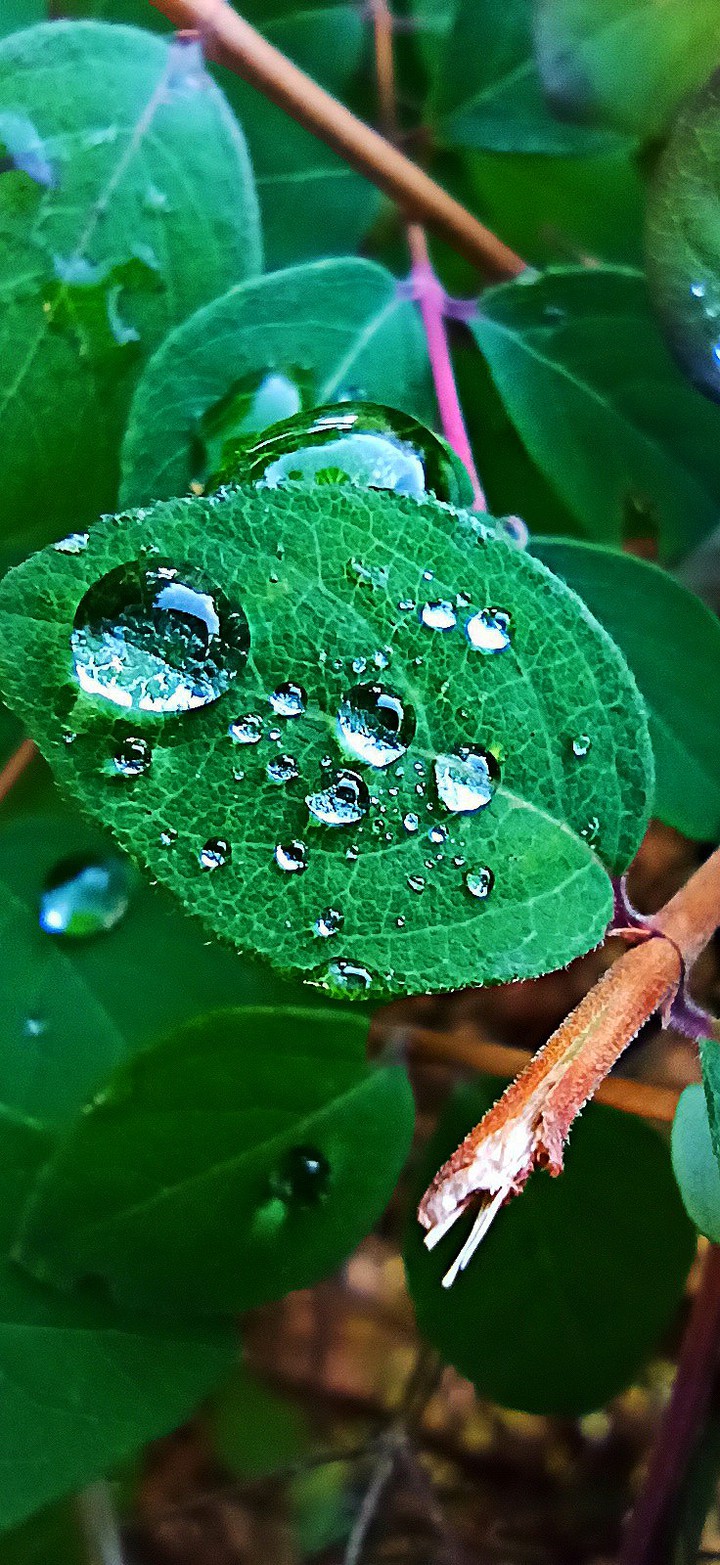 green water