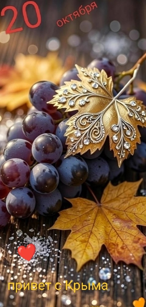 fondos de pantalla grapes, grape
