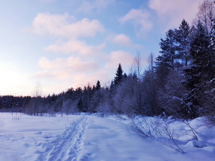 Зимние тропы/Walkways of Winter
