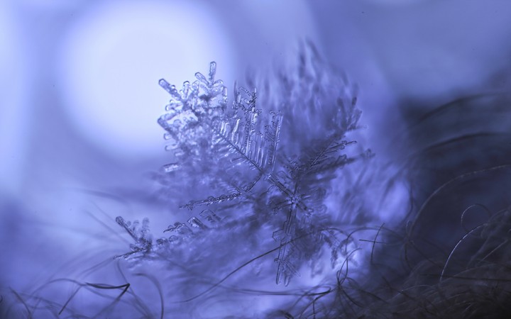 snow