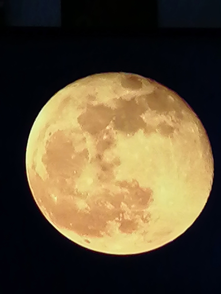 luna Qatar nov21