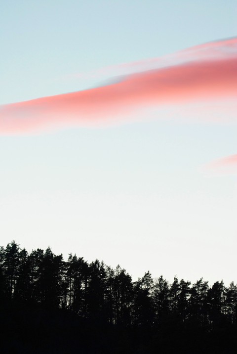simetric nature