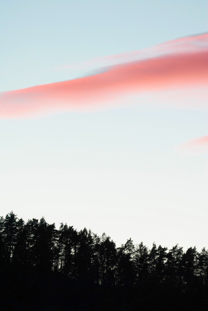 simetric nature