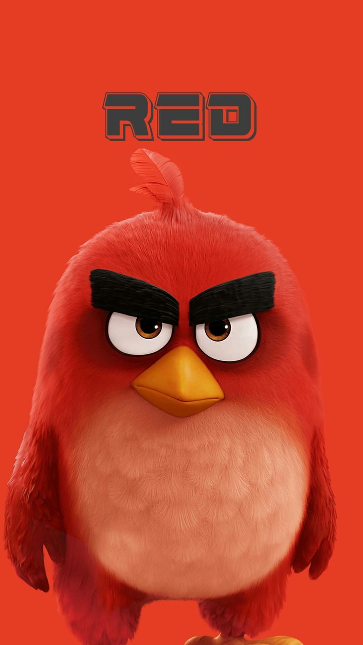 angry bird