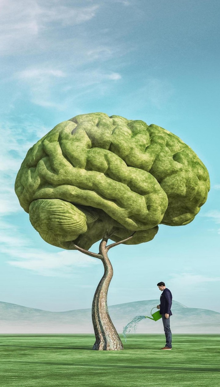 Brain tree