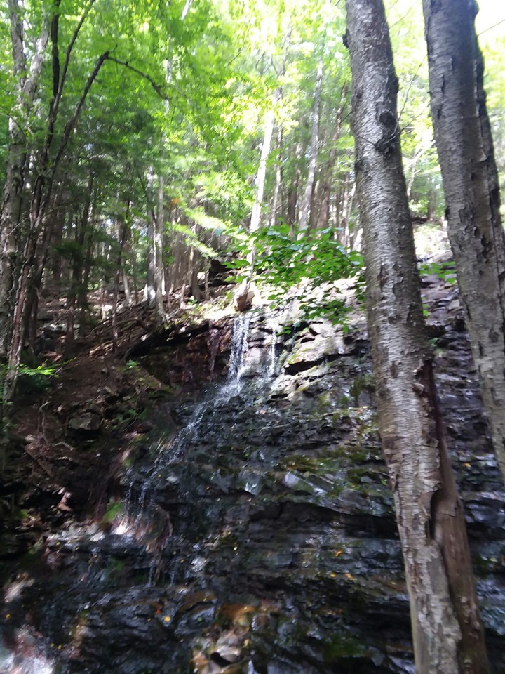 a trickle