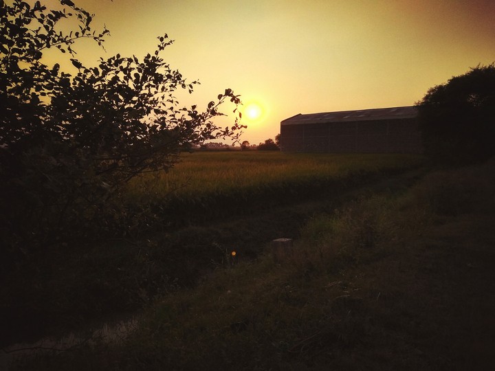 Sunset