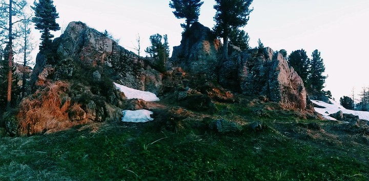 Summer in the Mountains