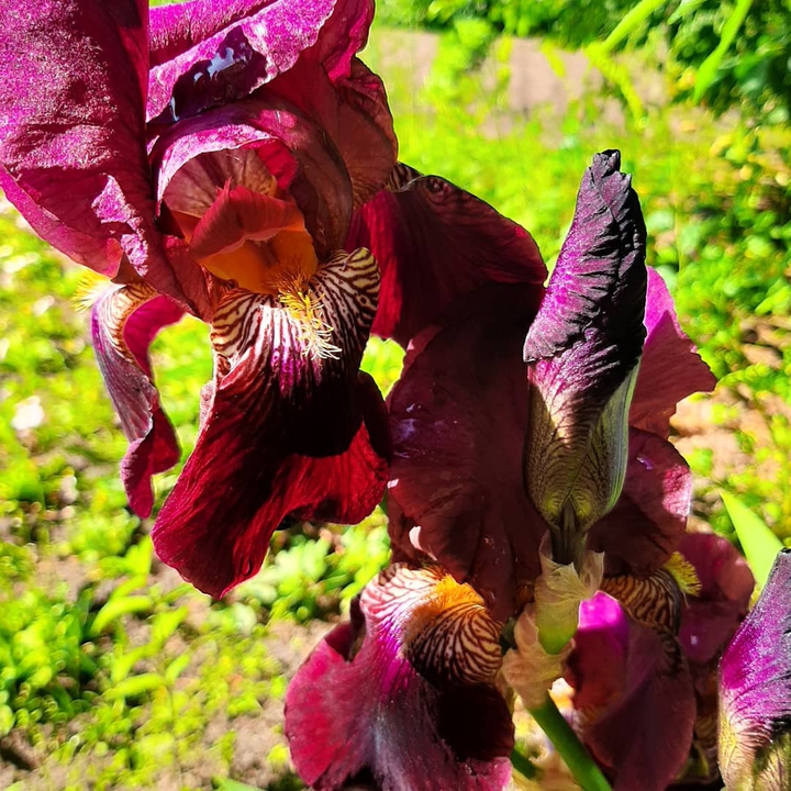 bright moments of summer