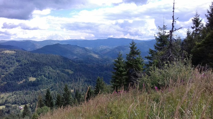 Карпаты