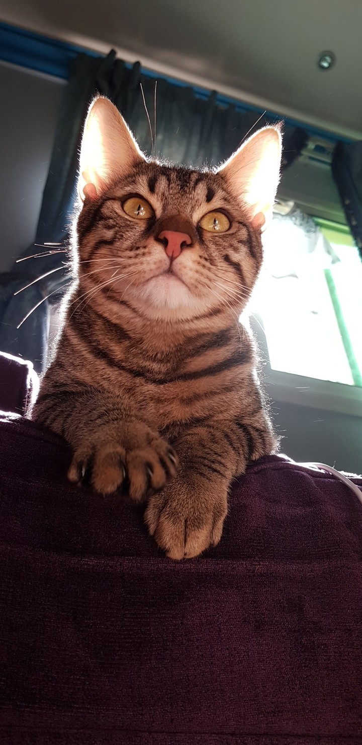 mr mr evil