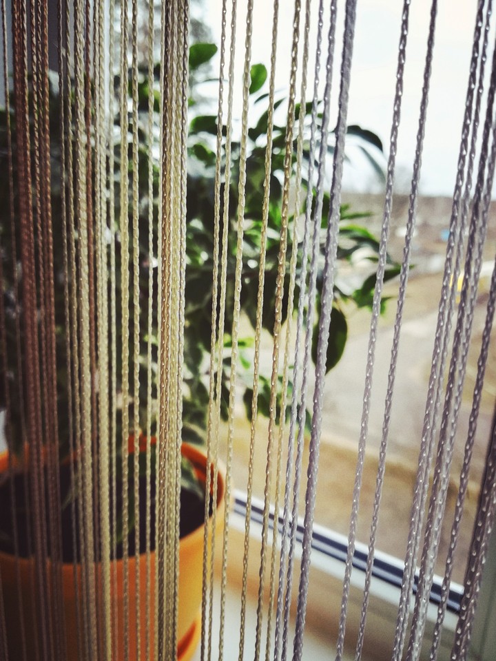 Window