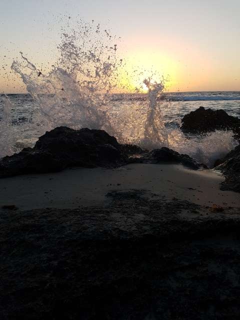 Ocean Wave