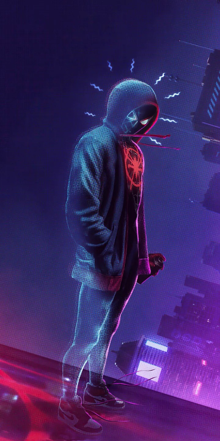 Spidy Boy