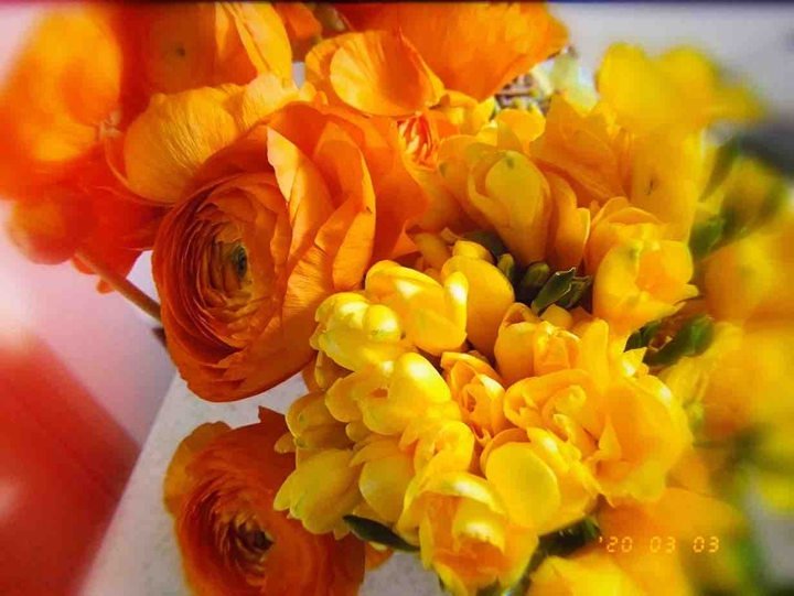 color of spring
