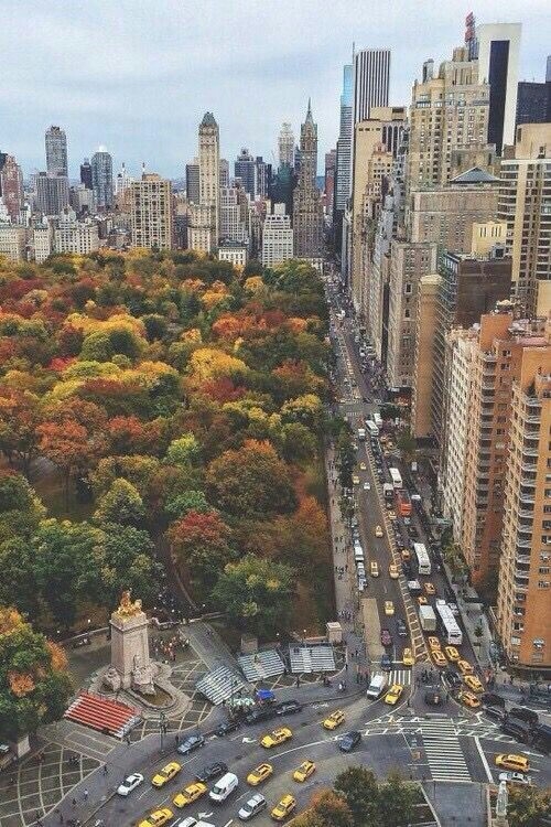 New York city