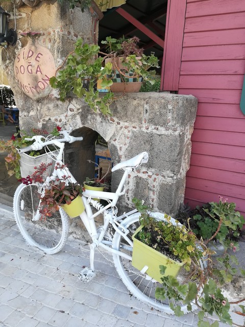 flower, bycycle桌布