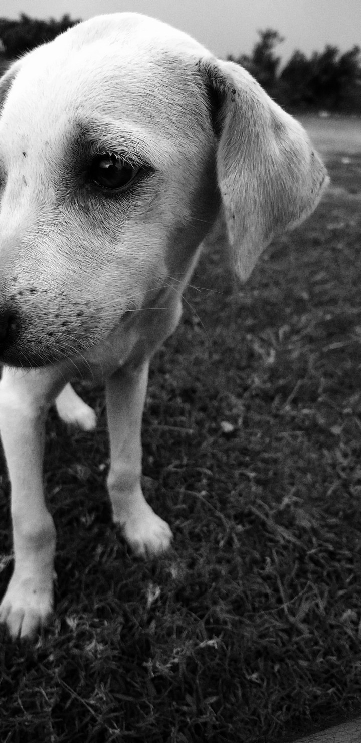 My best friend