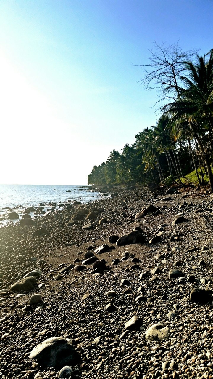 Beached
