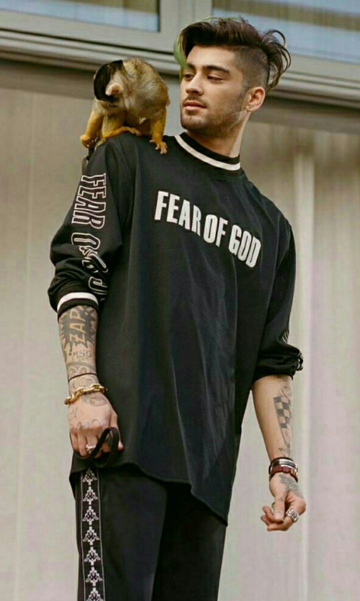 Zayn Malik