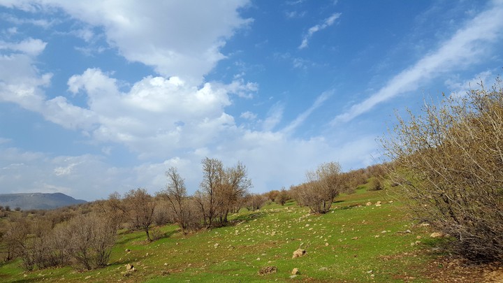 لرستان