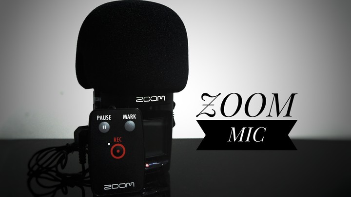 zoom mic